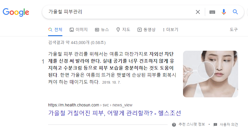 구글 검색결과 추천 스니펫 예시