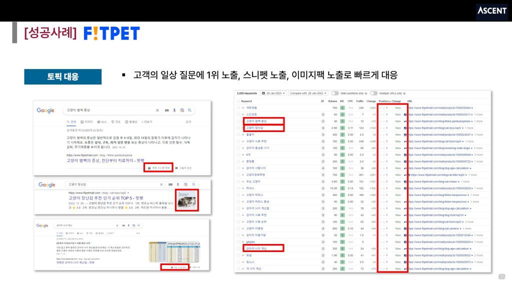 [핏펫] 고객의 일상 질문에 1위 노출, 스니펫 노출, 이미지팩 노출로 빠르게 대응